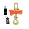 Electronic Ocs 20t Digital Model Weight Salt Waterproof Hot Selling Wireless Bluetooth Crane Scale
