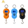 OCS-1 100kg-200kg OCS Small Portable Hanging Scale, Digital Crane Scale For Fishing Scale