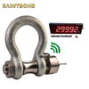 Latest Product Stainless Steel D-ring Shackle Lock Screw Bolt Bow Shackle