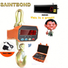 Latest Product 20 Ton Weighing Oiml Scale 2t Cheap Durable Ocs 20t Crane Scales Usb