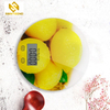 PKS006 Household Factory Cheaper Multifunction Digital Kitchen Scale