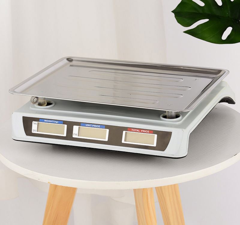 AS809 0.1g High Precision Weighing Scale Electronic Counting Scale