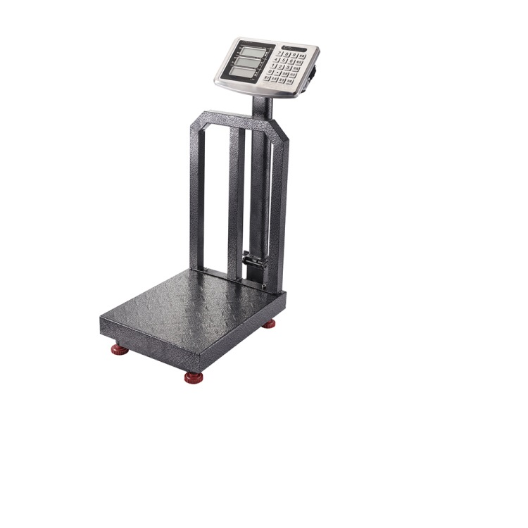 Industrial Weighing Portable Scale Stainless Steel Portable Bench Scale with Casters