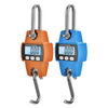 Manual Portable 100kg 150kg 300kg Weight Small Hang Crane Scale Digital